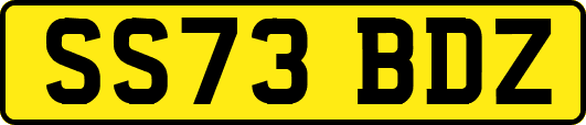 SS73BDZ