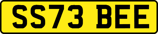 SS73BEE
