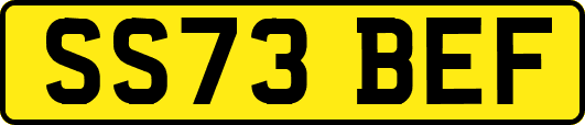 SS73BEF