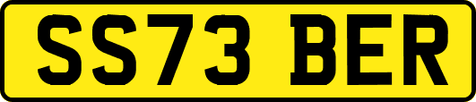 SS73BER
