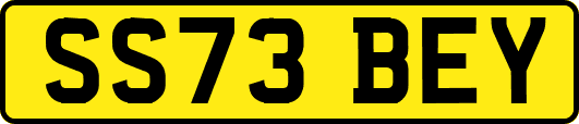 SS73BEY