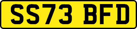 SS73BFD
