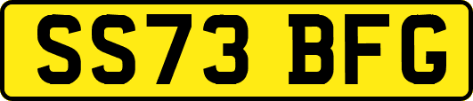 SS73BFG