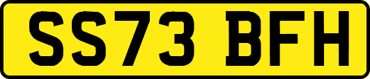 SS73BFH