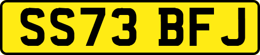 SS73BFJ
