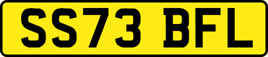 SS73BFL