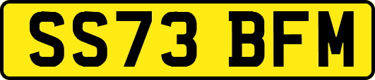 SS73BFM