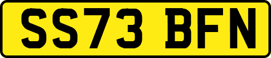 SS73BFN