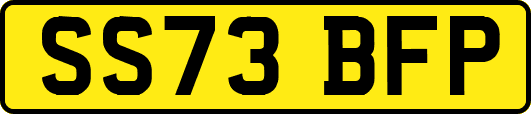 SS73BFP