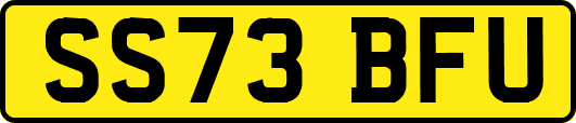 SS73BFU