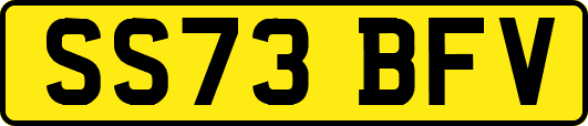SS73BFV