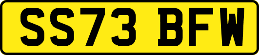 SS73BFW