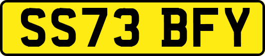 SS73BFY