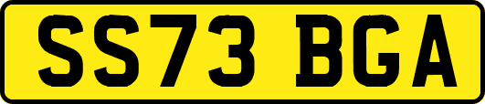 SS73BGA
