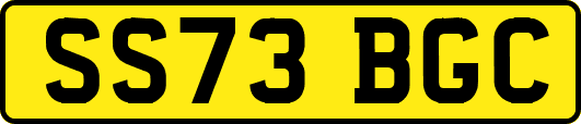 SS73BGC