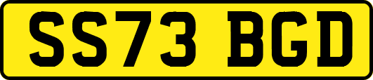 SS73BGD