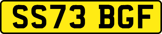 SS73BGF
