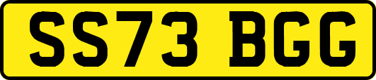 SS73BGG