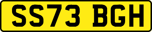 SS73BGH