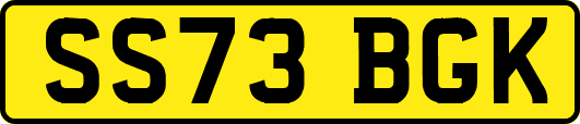 SS73BGK