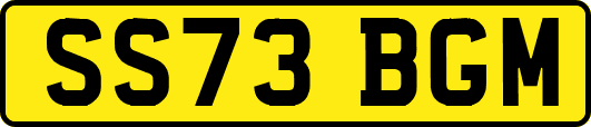 SS73BGM