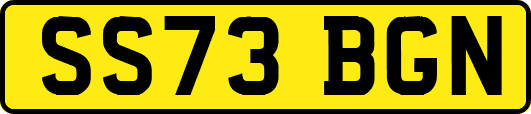SS73BGN