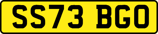 SS73BGO