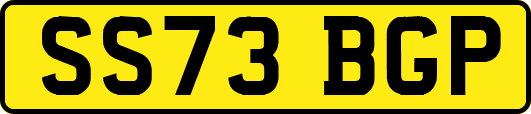 SS73BGP