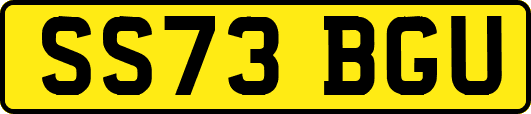 SS73BGU