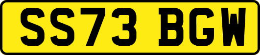 SS73BGW