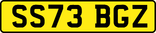 SS73BGZ