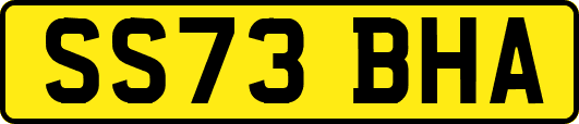 SS73BHA