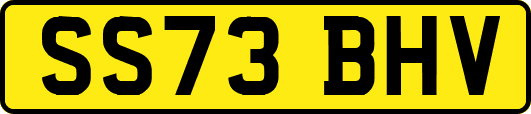 SS73BHV