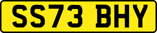 SS73BHY