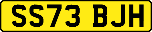 SS73BJH