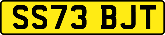 SS73BJT