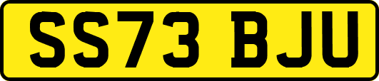 SS73BJU