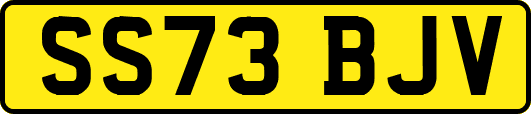 SS73BJV