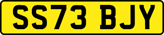 SS73BJY