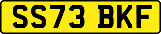 SS73BKF