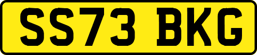 SS73BKG