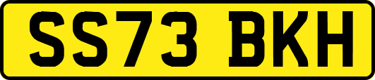 SS73BKH