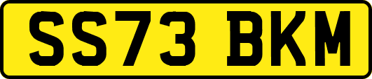 SS73BKM
