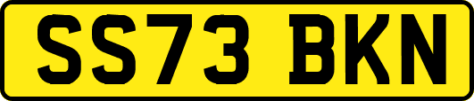 SS73BKN