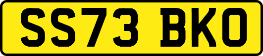 SS73BKO