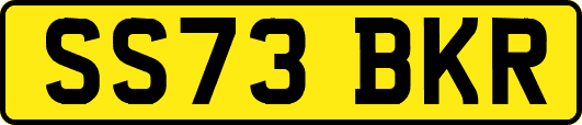 SS73BKR