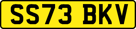 SS73BKV
