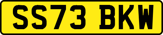 SS73BKW