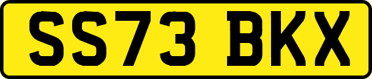 SS73BKX
