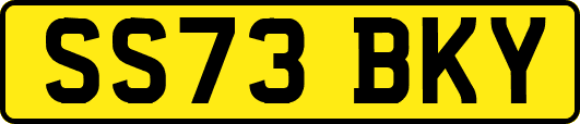 SS73BKY